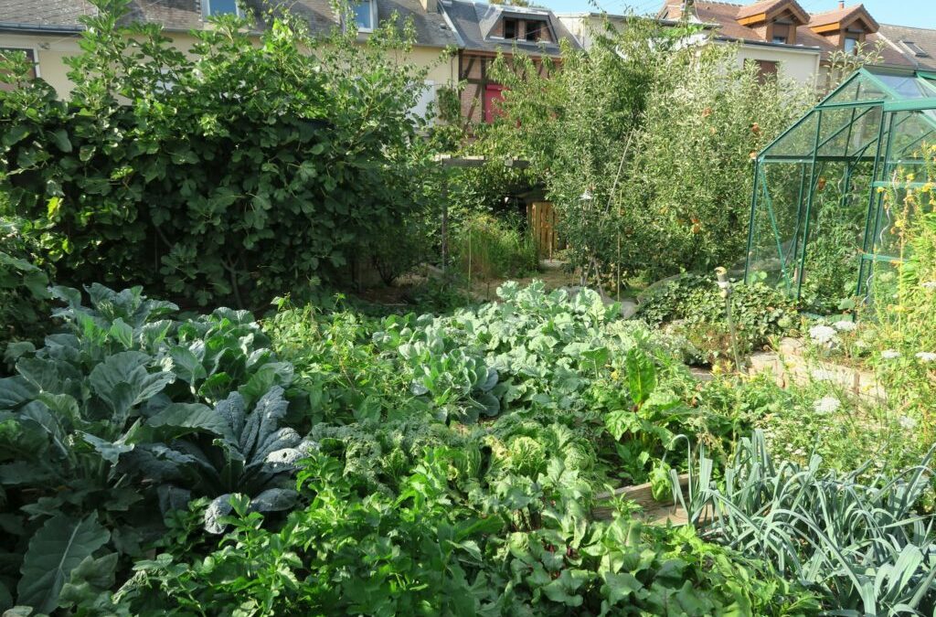 Le bonheur est dans le potager 